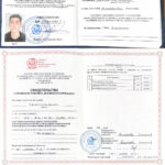 спецы